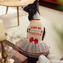 Frisco Kiss Me Under The Mistletoe Dog & Cat Dress -Pet Cat Shop 276335 PT5. AC SS1800 V1637729492