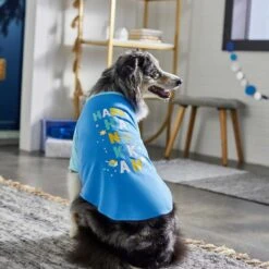 Frisco Happy Hanukkah Dog & Cat T-shirt 11 Frisco Happy Hanukkah Dog & Cat T-shirt -Pet Cat Shop 276480 PT5. AC SS1800 V1637646712