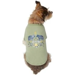 Frisco Joyful Hygge-Inspired Dog & Cat T-shirt -Pet Cat Shop 276488 PT3. AC SS1800 V1637725670