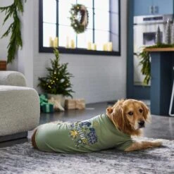 Frisco Joyful Hygge-Inspired Dog & Cat T-shirt -Pet Cat Shop 276488 PT5. AC SS1800 V1637666798