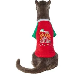 Frisco Santa I Can Explain Dog & Cat T-shirt -Pet Cat Shop 276496 PT2. AC SS1800 V1637682452