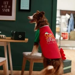 Frisco Santa I Can Explain Dog & Cat T-shirt -Pet Cat Shop 276496 PT5. AC SS1800 V1637677020