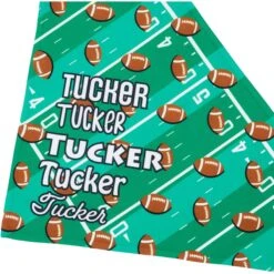 Frisco Football Personalized Dog & Cat Bandana 13 Frisco Football Personalized Dog & Cat Bandana -Pet Cat Shop 287044 PT4. AC SS1800 V1623246178