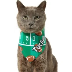 Frisco Football Personalized Dog & Cat Bandana 16 Frisco Football Personalized Dog & Cat Bandana -Pet Cat Shop 287044 PT7. AC SS1800 V1623246789