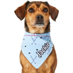Frisco Ice Hockey Personalized Dog & Cat Bandana -Pet Cat Shop 287048 PT6. AC SS1800 V1623246568