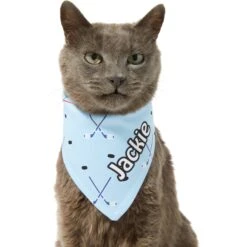 Frisco Ice Hockey Personalized Dog & Cat Bandana -Pet Cat Shop 287048 PT7. AC SS1800 V1623246478