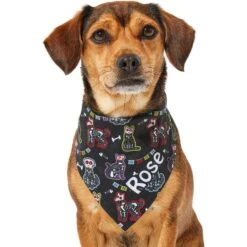 Frisco Dia De Los Muertos Personalized Dog & Cat Bandana 15 Frisco Dia De Los Muertos Personalized Dog & Cat Bandana -Pet Cat Shop 287052 PT6. AC SS1800 V1623246755