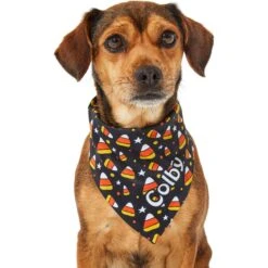Frisco Candy Corn Personalized Dog & Cat Bandana -Pet Cat Shop 287056 PT6. AC SS1800 V1623246504