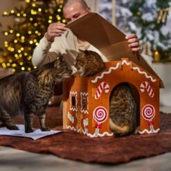Frisco Holiday Gingerbread House Cardboard Cat House Cat Toy -Pet Cat Shop 287289 PT3. AC SS1800 V1695046487