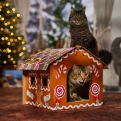 Frisco Holiday Gingerbread House Cardboard Cat House Cat Toy -Pet Cat Shop 287289 PT4. AC SS1800 V1694813217