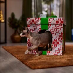 Frisco Holiday Gift Box Cardboard Cat House 10 Frisco Holiday Gift Box Cardboard Cat House -Pet Cat Shop 287291 PT4. AC SS1800 V1695045716