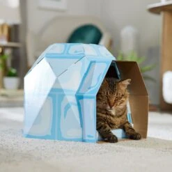 Frisco Igloo Cardboard Cat House 10 Frisco Igloo Cardboard Cat House -Pet Cat Shop 287293 PT4. AC SS1800 V1692035193