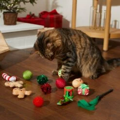 Frisco Holiday Festive Red Variety Pack Gift Box Cat Toy With Catnip, 14 Count 8 Frisco Holiday Festive Red Variety Pack Gift Box Cat Toy With Catnip, 14 Count -Pet Cat Shop 287305 PT3. AC SS1800 V1632773836