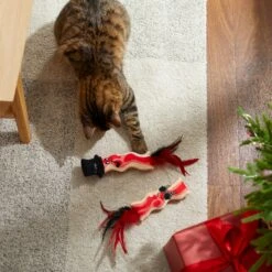 Frisco Holiday Bacon Plush Cat Toy With Catnip, 2 Count 5 Frisco Holiday Bacon Plush Cat Toy With Catnip, 2 Count -Pet Cat Shop 287377 PT3. AC SS1800 V1632773555