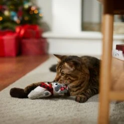 Frisco Holiday Raccoon Kicker Plush Cat Toy With Catnip 6 Frisco Holiday Raccoon Kicker Plush Cat Toy With Catnip -Pet Cat Shop 287379 PT3. AC SS1800 V1632776287