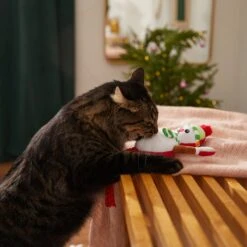 Frisco Naughty Or Nice Snowman Reversible Plush Cat Toy With Catnip 7 Frisco Naughty Or Nice Snowman Reversible Plush Cat Toy With Catnip -Pet Cat Shop 287387 PT3. AC SS1800 V1632774541