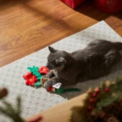 Frisco Flower Bouquet Plush Cat Toy With Catnip -Pet Cat Shop 287395 PT3. AC SS1800 V1632774747