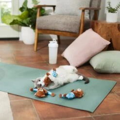 Frisco New Year, New Me Namaste Bear Plush Cat Toy With Catnip 5 Frisco New Year, New Me Namaste Bear Plush Cat Toy With Catnip -Pet Cat Shop 288947 PT3. AC SS1800 V1638289414