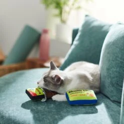 Frisco Protein Bar & Gym Membership Plush Cat Toy With Catnip -Pet Cat Shop 288951 PT3. AC SS1800 V1638290814