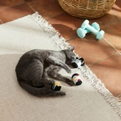 Frisco Pre-Workout & Protein Plush Cat Toy With Catnip, 3 Count -Pet Cat Shop 288953 PT3. AC SS1800 V1638287817