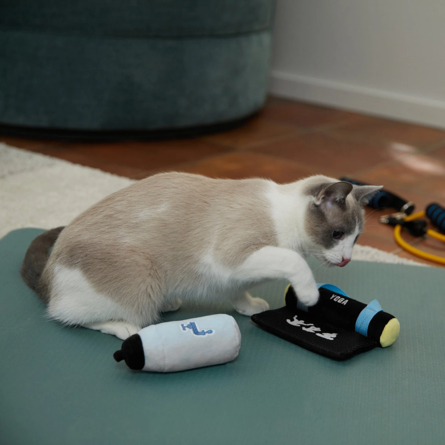 Frisco Yoga Mat & Water Bottle Plush Cat Toy With Catnip, 2 Count 3 Frisco Yoga Mat & Water Bottle Plush Cat Toy With Catnip, 2 Count - Image 3