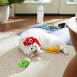 Frisco New Year, New Me Juice Cleanse Plush Cat Toy With Catnip -Pet Cat Shop 288957 PT3. AC SS1800 V1638292099