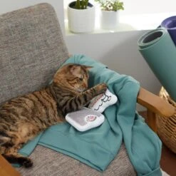 Frisco Scale & Message Bubble Plush Cat Toy With Catnip, 2 Count -Pet Cat Shop 288959 PT3. AC SS1800 V1638288401