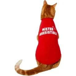 Frisco Mister Irresistible Dog & Cat T-Shirt -Pet Cat Shop 292026 PT2. AC SS1800 V1637268745