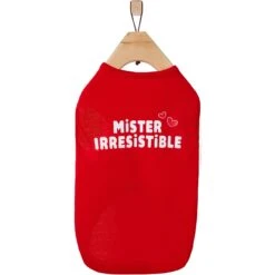 Frisco Mister Irresistible Dog & Cat T-Shirt -Pet Cat Shop 292026 PT4. AC SS1800 V1637267791