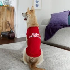 Frisco Mister Irresistible Dog & Cat T-Shirt -Pet Cat Shop 292026 PT6. AC SS1800 V1701797008