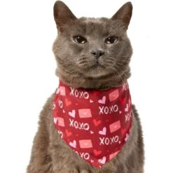 Frisco Love Letters Dog & Cat Bandana -Pet Cat Shop 292051 PT2. AC SS1800 V1637269050