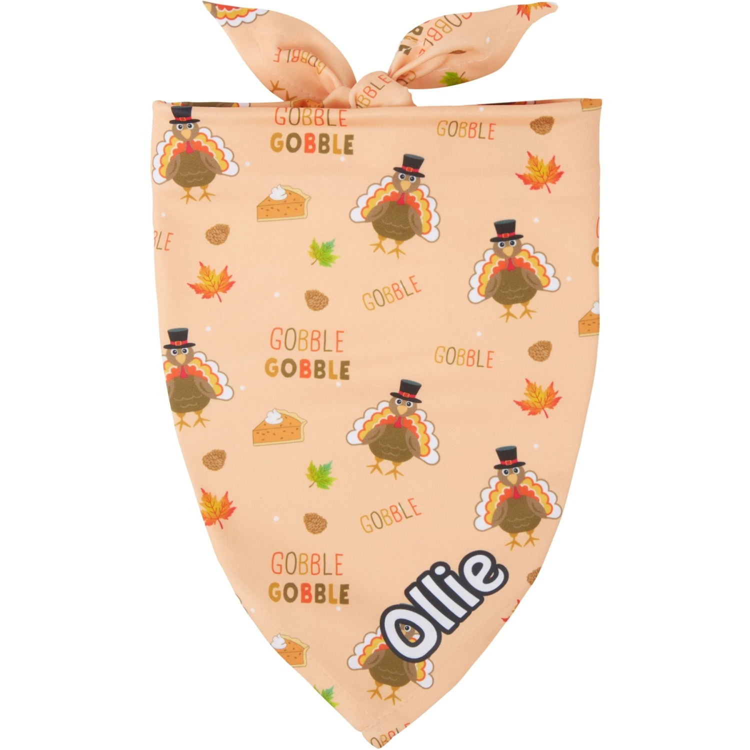 Frisco Quirky Thanksgiving Personalized Dog & Cat Bandana 1 Frisco Quirky Thanksgiving Personalized Dog & Cat Bandana