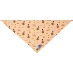 Frisco Quirky Thanksgiving Personalized Dog & Cat Bandana 12 Frisco Quirky Thanksgiving Personalized Dog & Cat Bandana -Pet Cat Shop 296986 PT3. AC SS1800 V1627654956