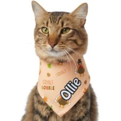 Frisco Quirky Thanksgiving Personalized Dog & Cat Bandana 16 Frisco Quirky Thanksgiving Personalized Dog & Cat Bandana -Pet Cat Shop 296986 PT7. AC SS1800 V1627654903