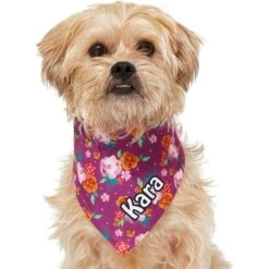 Frisco Fall Floral Personalized Dog & Cat Bandana 15 Frisco Fall Floral Personalized Dog & Cat Bandana -Pet Cat Shop 296990 PT6. AC SS1800 V1627654305