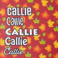 Frisco Fall Leaves Personalized Dog & Cat Bandana -Pet Cat Shop 296994 PT4. AC SS1800 V1627654575