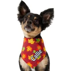 Frisco Fall Leaves Personalized Dog & Cat Bandana -Pet Cat Shop 296994 PT6. AC SS1800 V1627654351