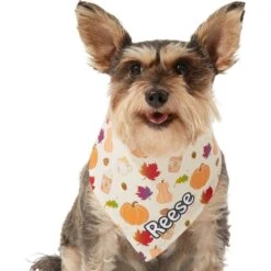 Frisco Pumpkin Spice Personalized Dog & Cat Bandana -Pet Cat Shop 296998 PT6. AC SS1800 V1627654408