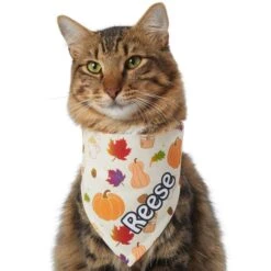 Frisco Pumpkin Spice Personalized Dog & Cat Bandana -Pet Cat Shop 296998 PT7. AC SS1800 V1627654273