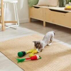 Frisco Brunch Bottomless Mimosas Plush Cat Toy With Catnip, 3 Count -Pet Cat Shop 297288 PT2. AC SS1800 V1642088553