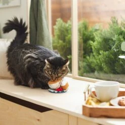 Frisco Brunch Teacup Plush Cat Toy With Catnip 5 Frisco Brunch Teacup Plush Cat Toy With Catnip -Pet Cat Shop 297292 PT2. AC SS1800 V1642088843