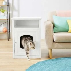 Frisco Decorative Side Table Cat Litter Box Cover & Frisco Open Top Cat Litter Box With Rim, Large -Pet Cat Shop 297992 PT4. AC SS1800 V1621306337