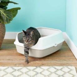 Frisco Decorative Side Table Cat Litter Box Cover & Frisco Open Top Cat Litter Box With Rim, Large -Pet Cat Shop 297992 PT6. AC SS1800 V1621299762