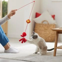 Frisco Lunar New Year Firecracker & Lantern Teaser Cat Toy With Catnip -Pet Cat Shop 298901 PT3. AC SS1800 V1640269210