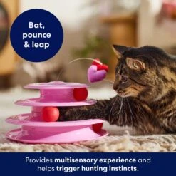 Frisco Unicorn Cat Tracks Cat Toy With Catnip 6 Frisco Unicorn Cat Tracks Cat Toy With Catnip -Pet Cat Shop 298958 PT3. AC SS1800 V1701797064