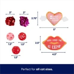 Frisco Valentine Variety Pack Cat Toy With Catnip, 13 Count -Pet Cat Shop 298966 PT2. AC SS1800 V1701364858