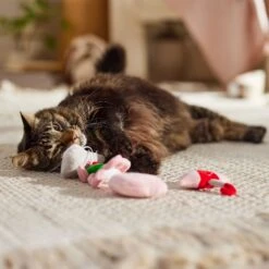 Frisco It's Raining Love Plush Cat Toy With Catnip, 4 Count 6 Frisco It's Raining Love Plush Cat Toy With Catnip, 4 Count -Pet Cat Shop 298968 PT3. AC SS1800 V1701364859