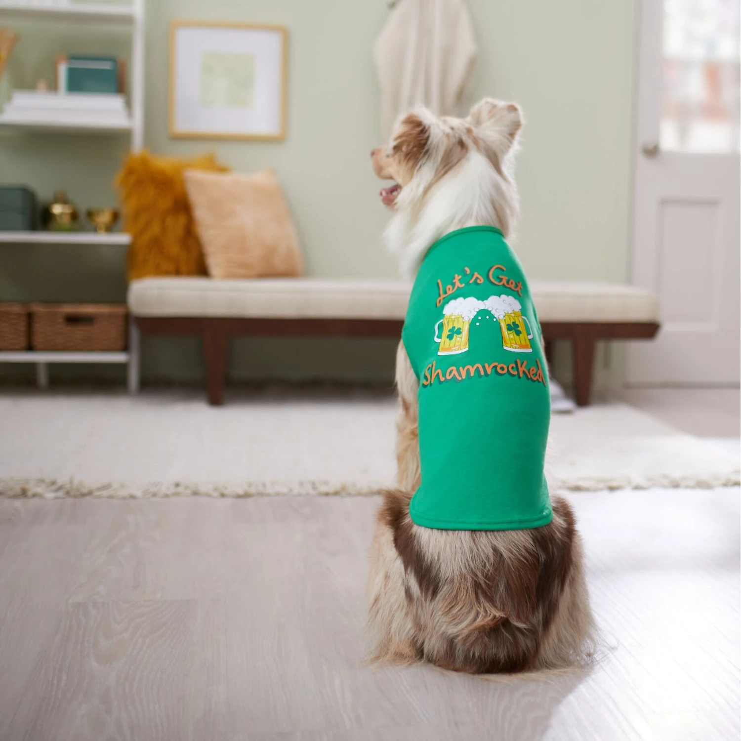 Frisco Let's Get Shamrocked Dog & Cat T-Shirt 6 Frisco Let's Get Shamrocked Dog & Cat T-Shirt - Image 6