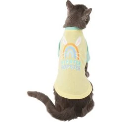Frisco Hipster Hopster Dog & Cat T-Shirt -Pet Cat Shop 300638 PT2. AC SS1800 V1641538001