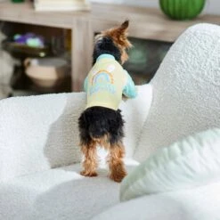 Frisco Hipster Hopster Dog & Cat T-Shirt -Pet Cat Shop 300638 PT5. AC SS1800 V1641540418